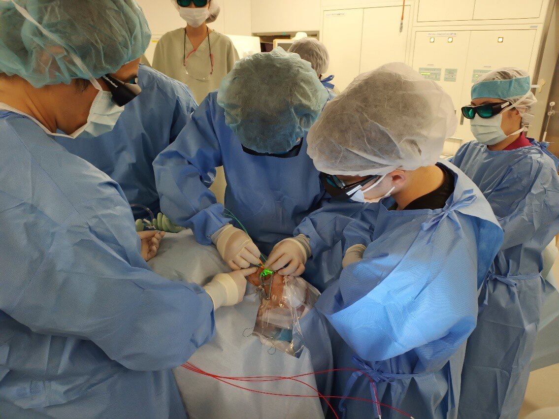 口腔がん治療の最新：光免疫療法「アルミノックス」