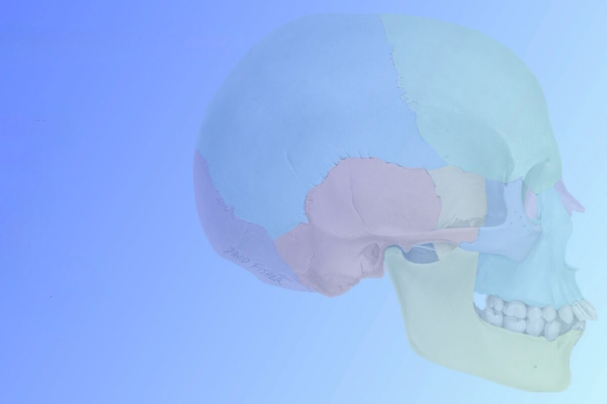 第1回 口腔顎顔面外科解剖研究会（CARE-OMS）解剖実習を終えて