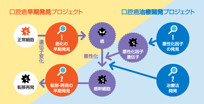 治療法開発プロジェクトと早期発見プロジェクト
