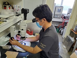 研究中の三浦助教