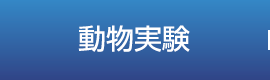 動物実験